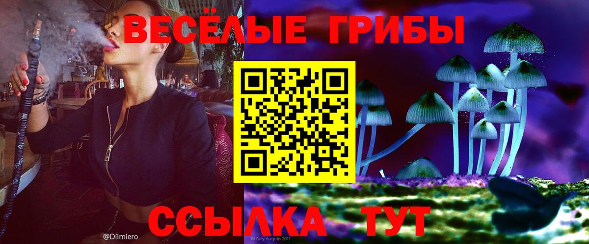 Галлюциногенные грибы Psilocybine cubensis Спасск-Дальний